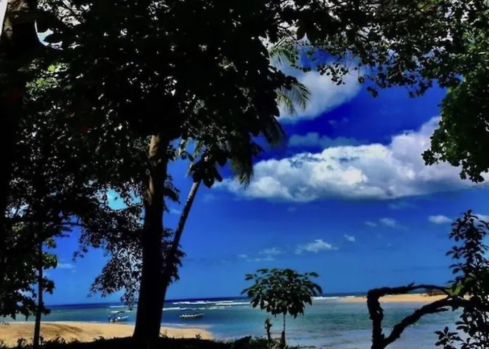 Villa La Choza Del Estero - 5Br Beachfront Oasis With Direct National Park & Beach Access, Private Pool, Large Yard, & Bbq Tamarindo